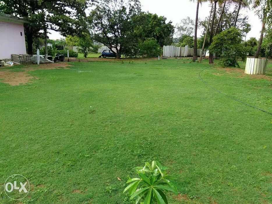 Real Village Farm House * Hyderabad